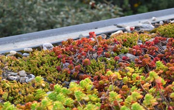 the cost of Tore green roof installation