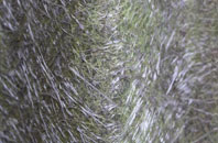 Tore fibreglass roof work